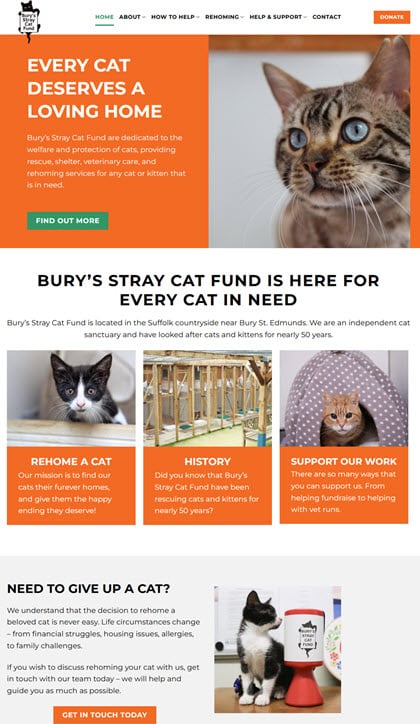 Charity website design — homepage hero with Donate and Rehome CTAs (Bury’s Stray Cat Fund)