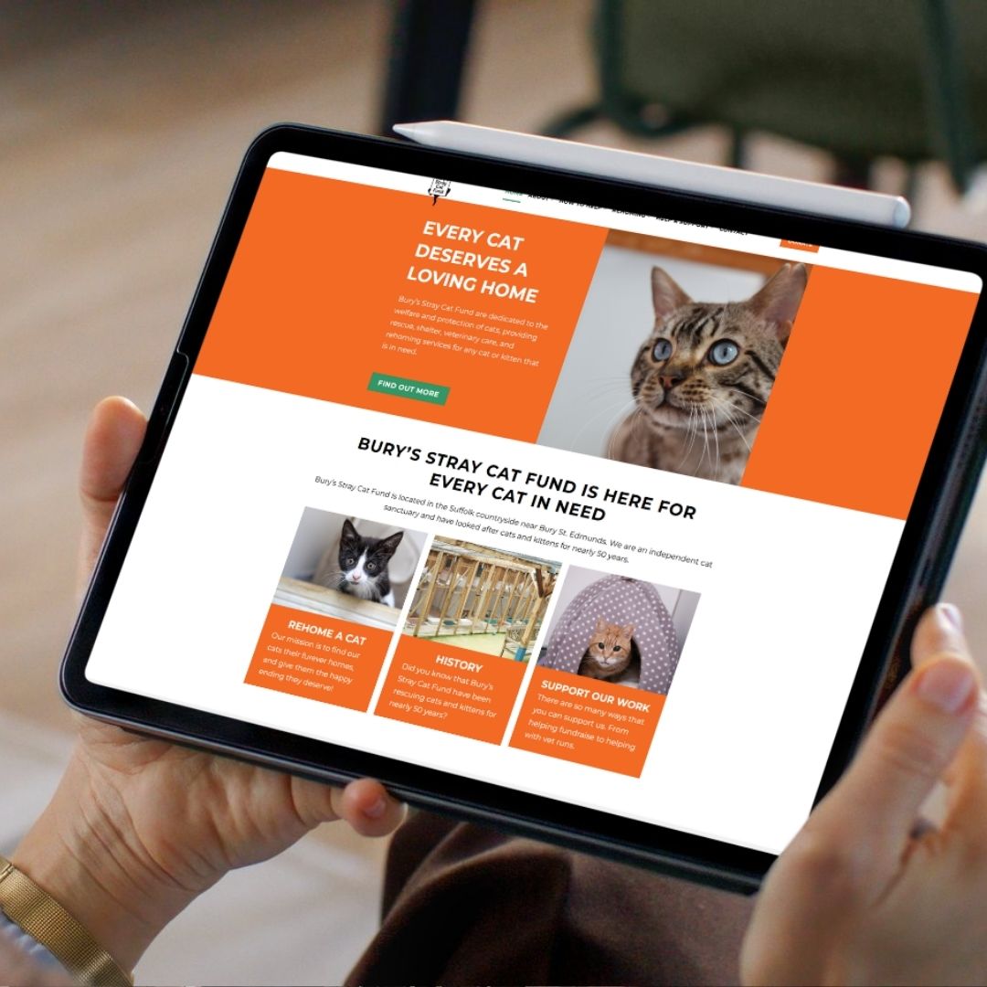 Website redesign services for Bury St Edmunds small business - Anne Lane
